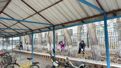 清扫校园落叶 共建美丽校园  ——学院行政党支部在行动